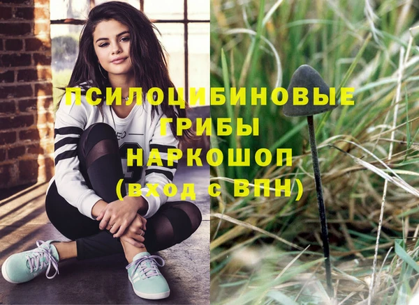 спиды Лабытнанги
