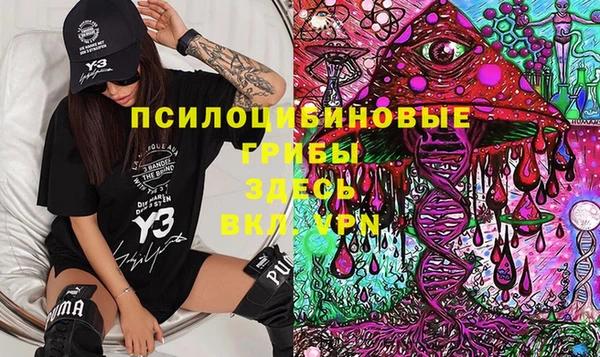 прущая мука Ладушкин